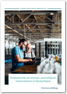 Cover Produktivität von kleinen und mittleren Unternehmen in Deutschland