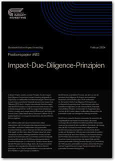 Cover Impact-Due-Diligence-Prinzipien