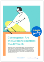 Cover Convergence: Are the Eurozone countries too different?