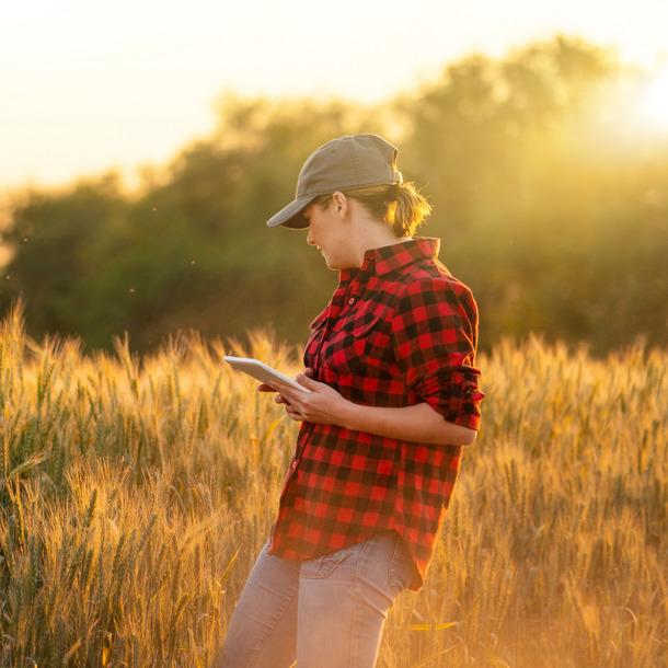 Frau fliegt Drohne in einem Kornfeld