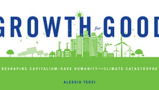 Banner_Growth-for-good_ST-W.png(© Alessio Terzi)