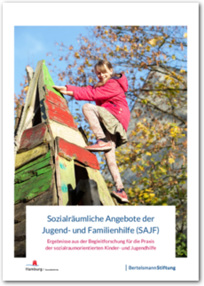 Cover Sozialräumliche Angebote der Jugend- und Familienhilfe (SAJF)