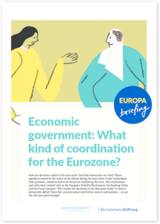 Cover Economic government: What kind of coordination for the Eurozone?