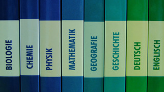 Eine Reihe grüner Schulbücher
