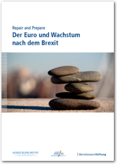 Cover Repair and Prepare: Der Euro und Wachstum nach dem Brexit