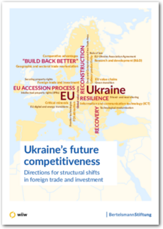 Cover Ukraine’s future competitiveness<br/>Directions for structural shifts in foreign trade and investment