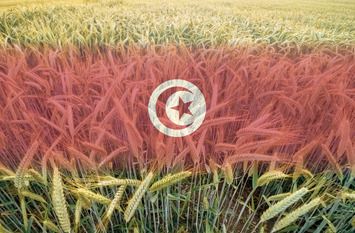 Bild eines Getreidefeldes, überlagert von der Nationalflagge Tunesiens