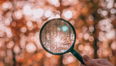 sam-N47bbEPuuWw-unsplash.jpg(© Sam / Unsplash - Unsplash License, https://unsplash.com/license)