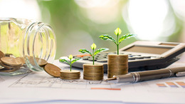 Plant trees on coins and calculators, financial accounting concepts and save money.