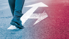 shutterstock_601498403_Premier_Retusche_ST-IFT.jpg(© Shutterstock / Budur Nataliia)