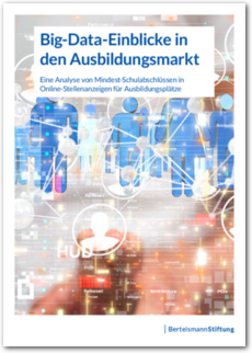 Cover Big-Data-Einblicke in den Ausbildungsmarkt