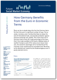 Cover Policy Brief #2013/01: <br/>How Germany Benefits from the Euro in Economic Terms